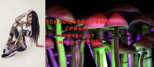 не бодяженный Абдулино