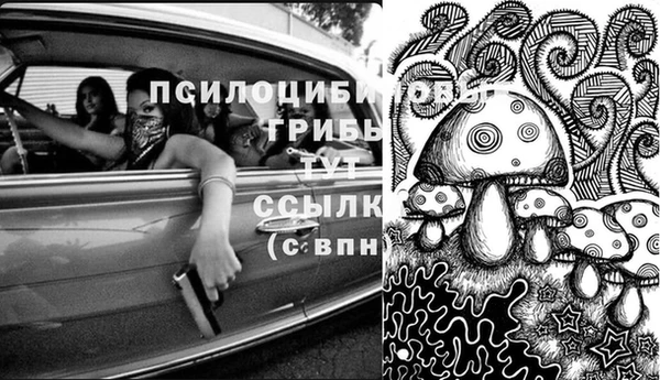 каннабис Абаза