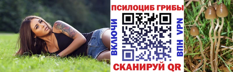 Псилоцибиновые грибы прущие грибы Челябинск